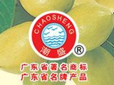 广东潮盛食品实业有限公司